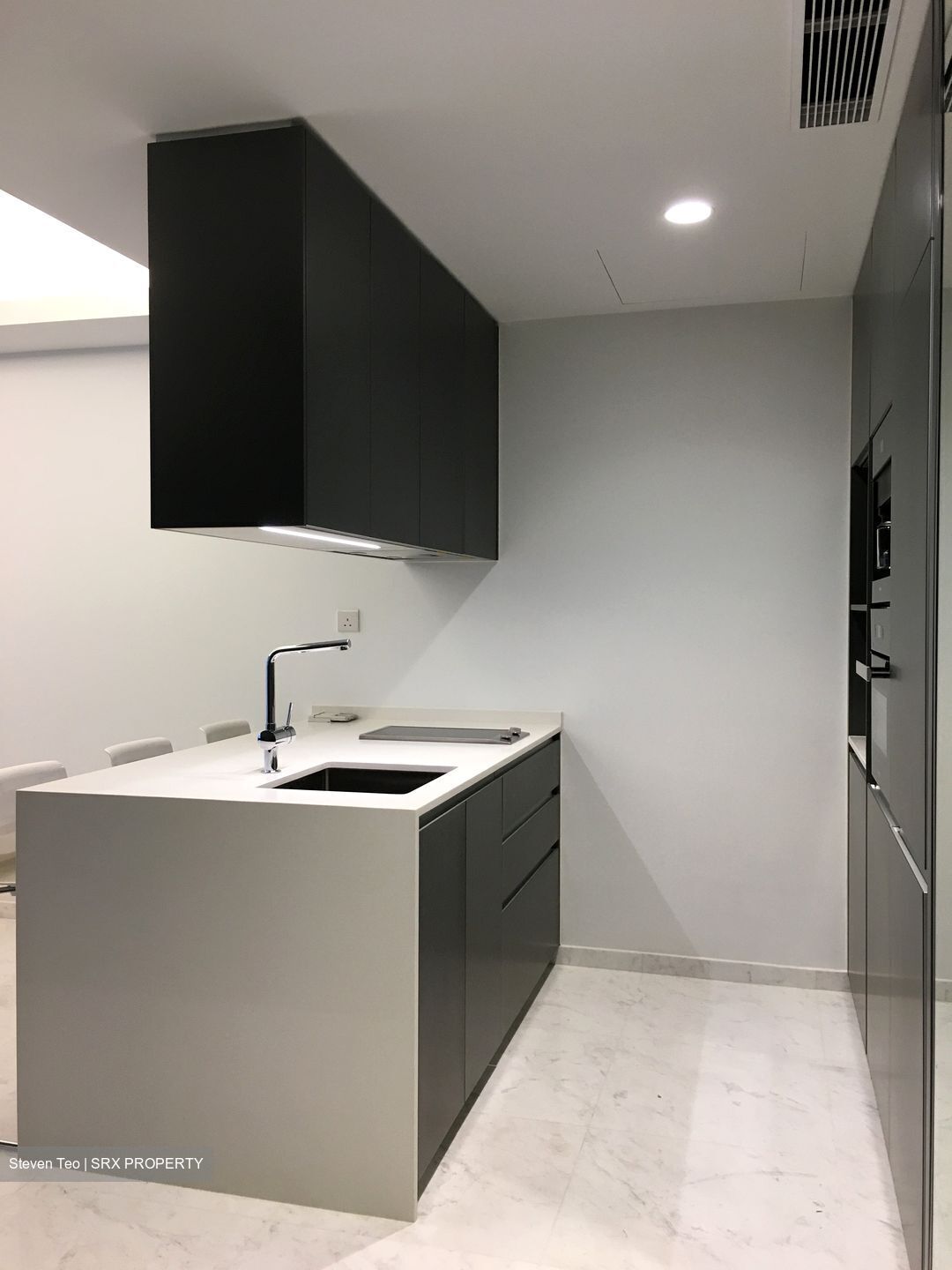 Cairnhill Nine (D9), Apartment #361001621